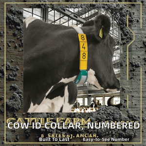 Collar de Identificación para Ganado GuangMu, Duradero, Ecológico, Reutilizable, de Plástico, con Números Grandes y Visibles, Ajustable para Ganado Vacuno, Lechero y de Carne - Product Image 2