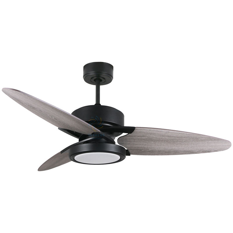 เม็ดไม้สีดำ + แสง