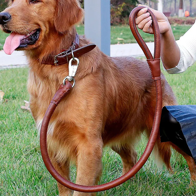 Luxus benutzer definierte vegane echte verstellbare geflochtene rot schwarz Haustier Hund Leder halsband und Leder Hunde leine Halsband Set Hunde leine