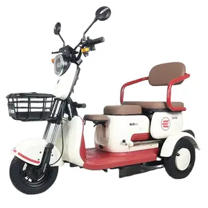 Turkey market most popular electric passenger leisure tricycle for sight seeing, tourism, elder people disabled