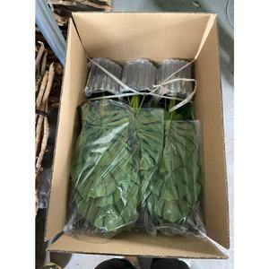 Menthe Monstera Bonsaï Artificielle Grandes Fleurs Deliciosa Real Touch Vert <span class=keywords><strong>Jumbo</strong></span> Monstera Feuilles En Pot Paysagistes En Gros - Product Image 6