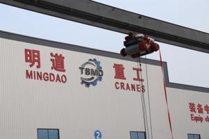 Double Main Beam Large Gantry Crane Customization | Special for Container Loading and Unloading | Wireless Remote Control - Product Image 6