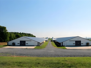 Armazém de Concreto Pré-fabricado Estrutura de Aço Personalizada 30x40 Edifício Metálico Grande Galpão de Armazenamento Metálico Pré-fabricado - Product Image 3
