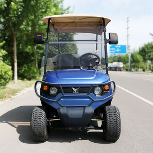 Voiturette de golf électrique de rue Curtis à 5-6 places avec contrôleur et moteur, batterie au plomb/lithium, moteur AC 4/5/7,5 kW, vitesse 30-50 km/h - Product Image 2