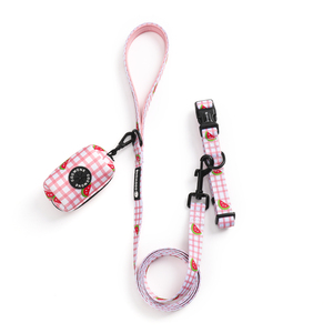 Guinzaglio per Cani Ecologico in Poliestere con Motivo Personalizzato, Resistente, con Gancio Girevole e Clip a D in Metallo per Passeggiate Quotidiane - Product Image 2