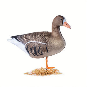 Leurre de chasse au canard léger en EVA pliable 3D de marque - Product Image 6