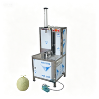 Fabrieksdirect volautomatische jackfruit- en pompoenschilmachine met motoronderdelen