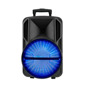 Factory direct sales trolley speaker woofer 15 inch 1000 watt dj party box blue tooth karaoke speakers audio system sound