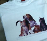 Papier transfert thermique A4 couleur claire, décollage à chaud, pour impression jet d'encre, pour T-shirts en coton blanc, DIY