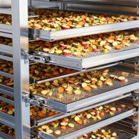 BAOYANG Droogoven Dehydrator voor appelchips en fruitdehydratatie