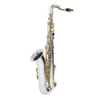 Bb Tenor Saxophone Nickel Plated Body Lacquered Finish Gold Keys B Flat Woodwind Musical Instrument Bakelite Head for