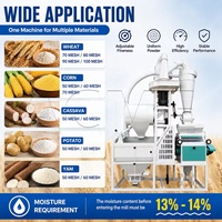 Moulin à farine de blé professionnel avec moteur et engrenages, haute capacité 200-300 kg/h, fabricant certifié ISO en Chine
