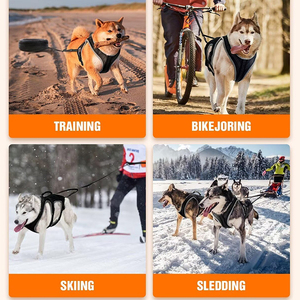 Conjunto de Arnés <span class=keywords><strong>Canicross</strong></span> para Perro con Cinturón y Correa Amortiguadora, Arnés Ajustable para Correr, Senderismo y Ciclismo para <span class=keywords><strong>Perros</strong></span> Grandes - Product Image 4