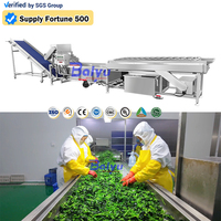 Productielijn voor diepvriesgroenten en -fruit: wassen, snijden, blancheren, dehydrateren, machine voor het verwerken van salade, broccoli, tomaat en maïs