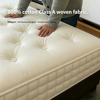 Matelas en Cachemire Rembourré pour la Maison, Matelas à Ressorts Ensachés en Fibres Végétales Écologiques, Anti-humidité et Antibactérien, 9.06/10.24/11.81 Pouces, OEM