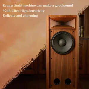OEM A-12 Enceintes colonne Hi-Fi professionnelles en <span class=keywords><strong>bois</strong></span>, passives, sans batterie, 60W-300W, avec crossover audio bidirectionnel pour la maison - Product Image 3