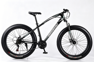 Venta caliente bicicleta de montaña 21/24/27/30 velocidad bicicleta de nieve personalizada MTB bicicleta - Product Image 6