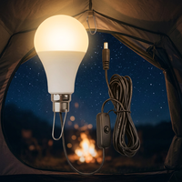 Ampoule LED DC5V pour usage extérieur avec câble de 2,8 m, prise DC5521, interrupteur marche/arrêt, crochet métallique pour un accrochage facile, CRI 80, 3000K/6500K, A19