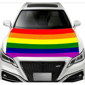 Drapeau de voiture arc-en-ciel de la fierté <span class=keywords><strong>gay</strong></span> de style moderne, promotionnel, de haute qualité, élastique, résistant aux intempéries, lavable, pour la décoration - Product Image 1