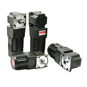 Gs 90 Wát <span class=keywords><strong>AC</strong></span> góc bên phải bánh có động cơ 110V 220V | nhỏ gọn <span class=keywords><strong>Worm</strong></span> <span class=keywords><strong>Gear</strong></span> Reducer động cơ điện cho băng tải tự động hóa máy móc - Product Image 6