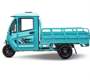 Tricycle pour adultes 2024 en promotion – Vente directe usine – 800W 60V 1000W - Product Image 6