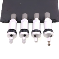 Valve de capteur TPMS en alliage d'aluminium pour surveillance de la pression des pneus