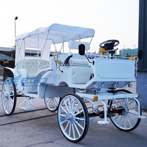 Custom Fashion European Style Electric Horse-drawn Sightseeing Carriage Pure White <b>Double</b>-row 5-6 Persons Wedding Party Use 4 - Product Image 1
