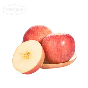 Chinese Fresh Gala Apples/Red Apple/Fuji Apple Price