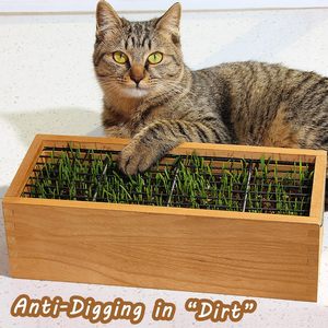 Planteur d'herbe de chat en bois avec disques de <span class=keywords><strong>terreau</strong></span>, pot de culture d'herbe de blé, kit d'herbe de chat <span class=keywords><strong>pour</strong></span> animaux de compagnie de chats d'intérieur (jaune vieilli) - Product Image 5