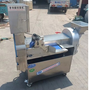 เครื่องตัดผักแบบอัตโนมัติ,เครื่องหั่นผักผลไม้แบบผักในศรีลังกา - Product Image 3