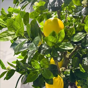 ต้นส้มโอปลอมเกรดเชิงพาณิชย์ ขนาด 7-21 ฟุต ต้นส้มโอป้องกันไฟและกันลม สำหรับสวนสนุก ลำต้นได้รับการรับรองมาตรฐาน ECO - Product Image 2