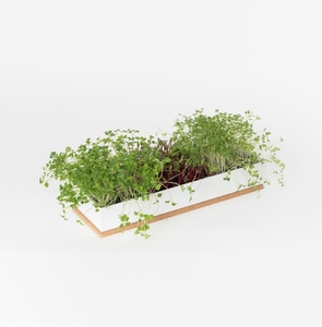 3 pièces plateau empilable pousse pousse nettoyage facile culture simultanée pots de <span class=keywords><strong>fleurs</strong></span> jardinières pour la maison jardin ferme conception - Product Image 6