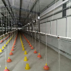 Kiểm Soát Đổ Gia Cầm Farming Pakistan/Kiểm Soát Đổ Gia Cầm Trong Pakistan - Product Image 6