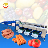 ORME Fruitverwerkingsmachine, machine voor het sorteren van verse citroenen, machine voor het sorteren en kalibreren van dadelpalmen en tomaten.