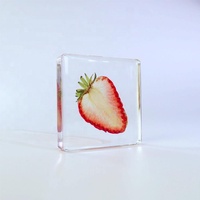 Echte Plant Specimen Blok Kristalhars Transparant Hars Decoratie Ontwerp Droog Fruit Plakjes Specimen