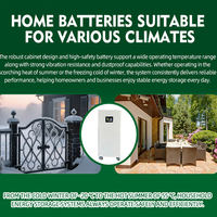 Batterie LiFePo4 51.2V 314Ah 15KW pour Stockage d'Énergie Domestique avec Onduleur BMS, Alimentation de Secours Portable, 8000 Cycles, Type Colonne