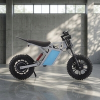 Vélo électrique tout-terrain pour adultes avec cadre en aluminium léger de 12 pouces, pneus larges, batterie au lithium 48V 350W 13Ah, moteur arrière sans balais double
