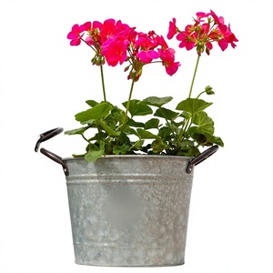 Macetas de Metal Galvanizado con Asas Más Vendidas para Decoración de Jardín Exterior del Hogar, Macetas Redondas para Flores al Precio Más Bajo - Product Image 1