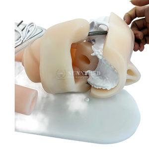 แบบจำลองการผ่าตัดเกี่ยวกับการฝึกอบรมการดำเนินการเกี่ยวกับกระเพาะอาหารสำหรับโรงเรียนฝึกพยาบาลและโรงพยาบาล - Product Image 6