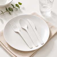 Ensemble de couverts écologiques en amidon de maïs CPLA, lourds et compostables (fourchette, couteau, cuillère) – Vente en gros en vrac