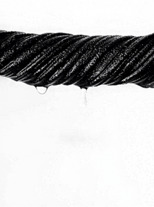 Unisex <b>Raglan</b> <b>Sleeve</b> <b>Long</b> <b>Sleeve</b> <b>T</b>-<b>Shirt</b> Crew Neck Solid Color Casual Knitted 100% Cotton Regular Fit Autumn Wear - Product Image 6