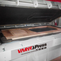 Laminatrice Vario Press 4*5 pour le travail du bois, à passage positif/négatif, machine complète de pose de feuilles sous vide avec alimentation ininterrompue