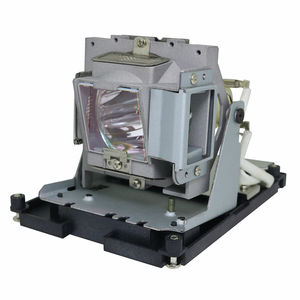 Lampe de projecteur PolyVision 2002031-001, lampe nue avec support pour usage professionnel et éducatif - Product Image 1
