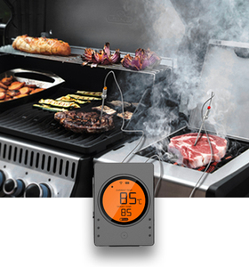 Termômetro <span class=keywords><strong>Digital</strong></span> para Churrasco Hypersynes com Relógio Novo Medidor de Temperatura de Plástico Pro1 - Product Image 4