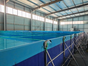 Bassin d'élevage de poissons extérieur durable de haute qualité personnalisé, bassin carré pour l'élevage de poissons, réservoir d'élevage largement utilisé pour la pêche au tilapia - Product Image 6
