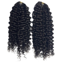 Nouvel Arrivage Extensions de Cheveux Invisibles au Crochet en Plumes de Cheveux Brésiliens Remy Lisses et Soyeux
