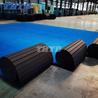 Rouleaux de sol en PVC pour salle de sport, tapis en caoutchouc plastique, tapis déroulable pour Judo, BJJ, MMA, Tatami, lutte, arts martiaux