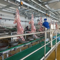 Machine de transformation de la viande de mouton, usine d'abattage halal d'agneau, pompe, moteur, roulement, noyau, haute productivité, acier inoxydable