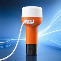 Lampe torche LED rechargeable portable, 21 LED haute luminosité, 2400 mAh, type C, pour le camping, les situations d'urgence et l'éclairage domestique