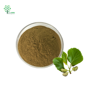 天然1% ~ 10% 白桑エキス1-DNJ粉末桑葉エキス - Product Image 1